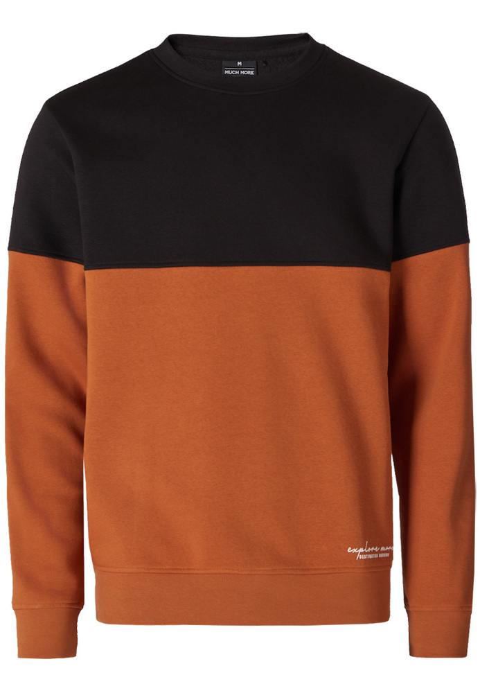 Sweatshirt im Colour-Block-Style