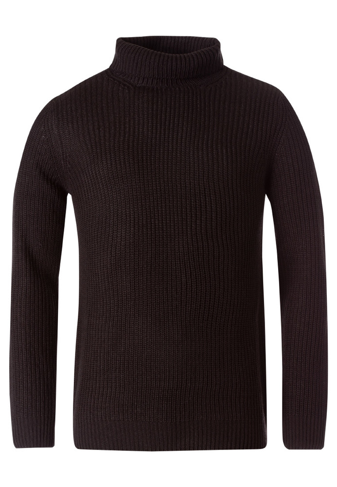 Basic-Rollkragenpullover